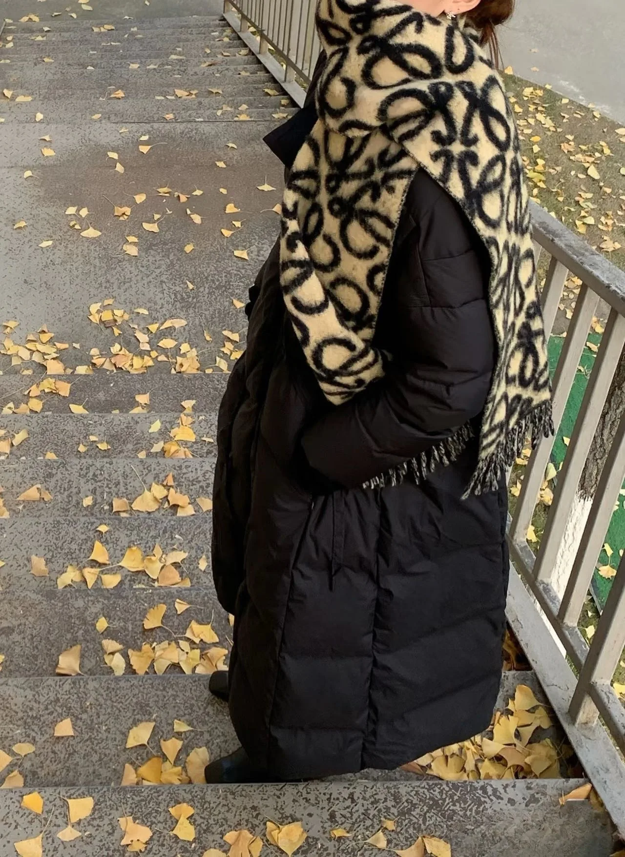 Scarves LOEWE 17901374