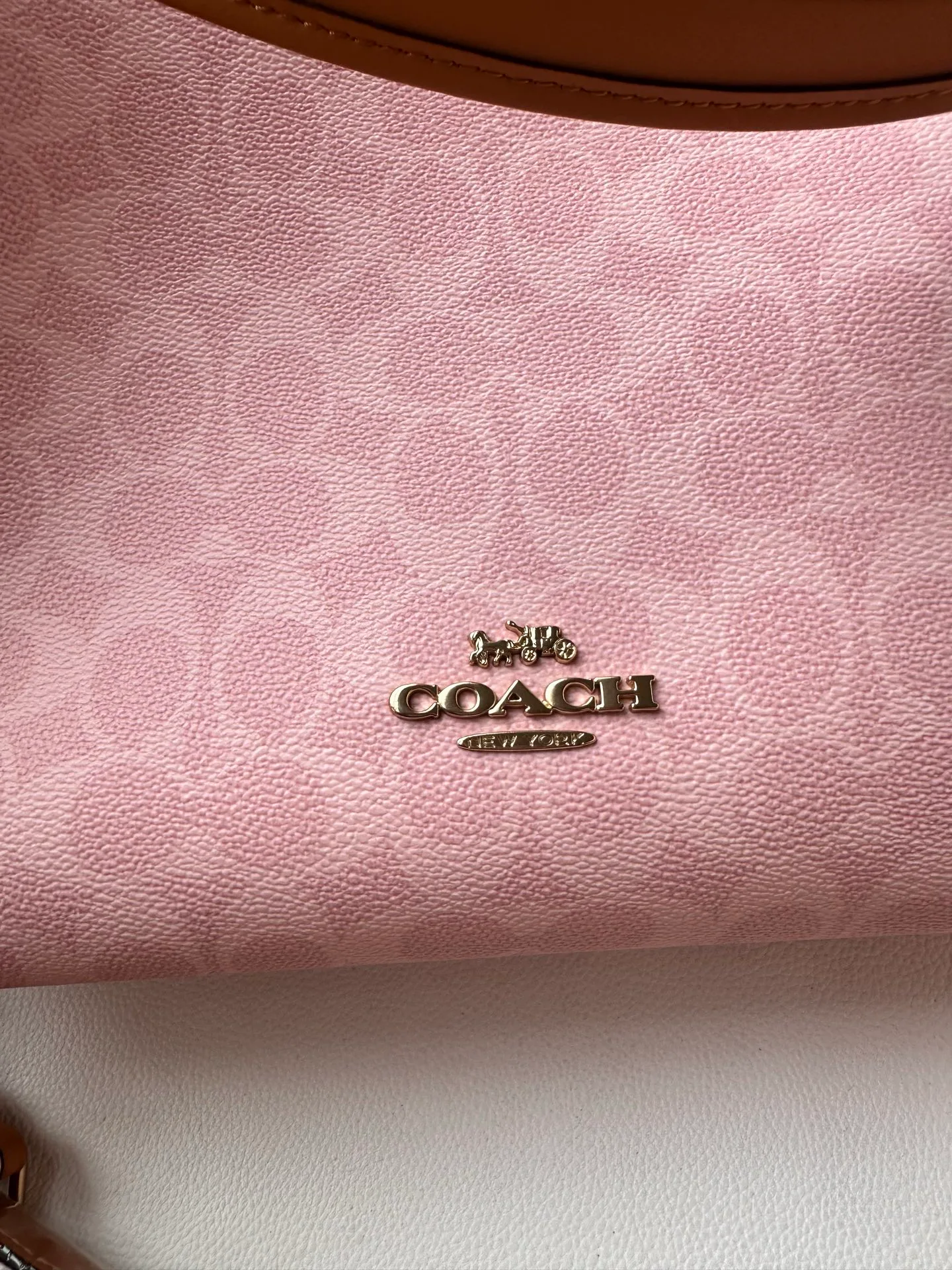 Women's Classic Handbags COACH 17961069