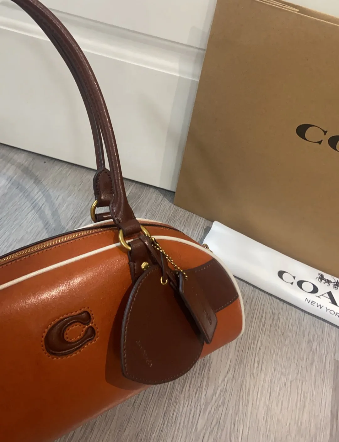 Women's Classic Handbags COACH 17246853