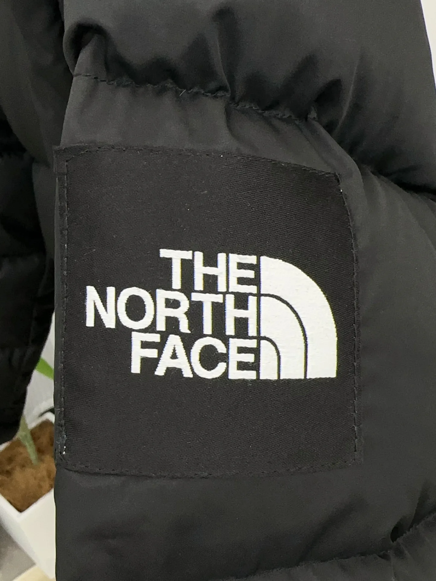 Women's Jackets And Down Jackets THE NORTH FACE 18129650