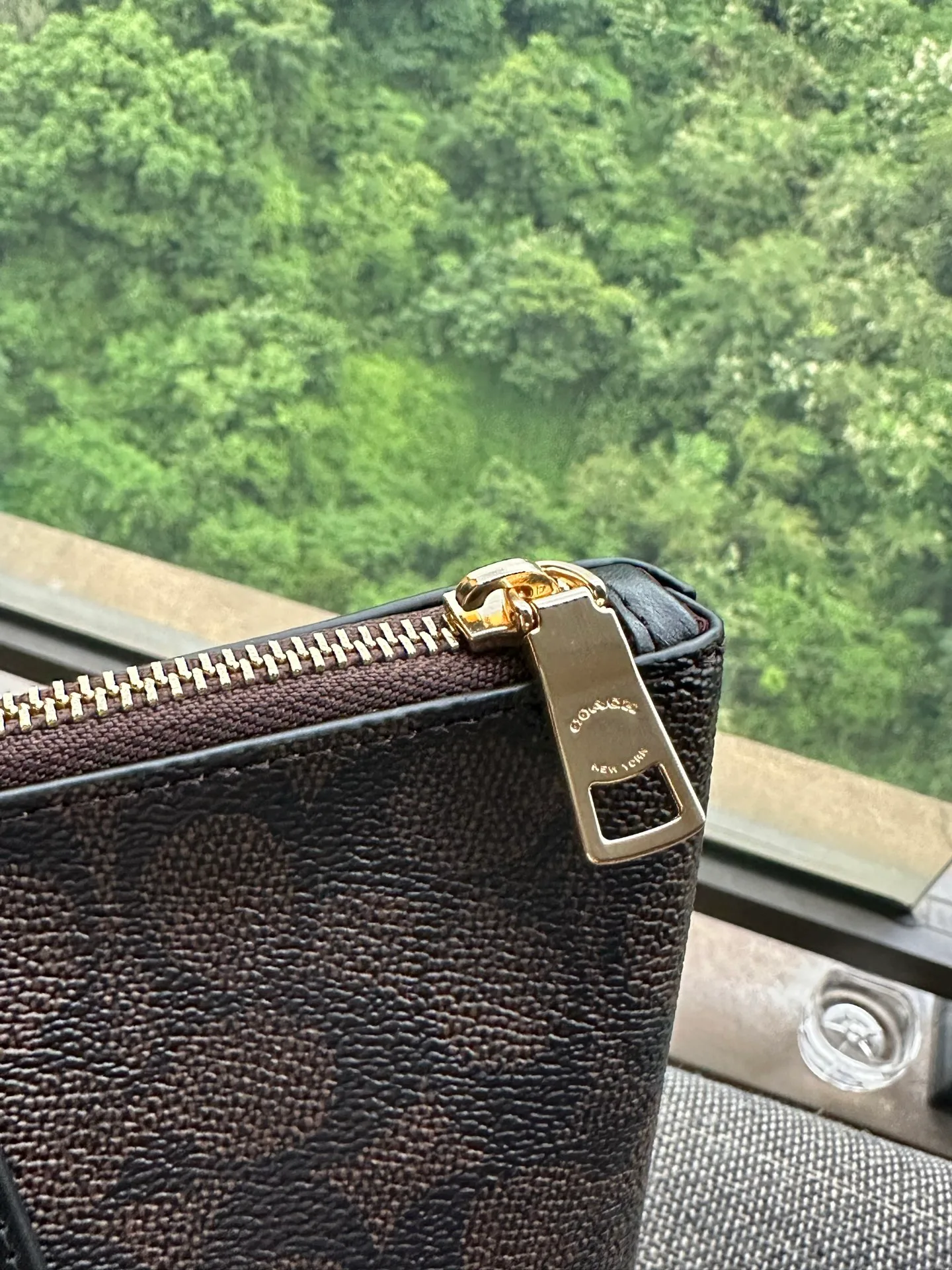 Women's Classic Handbags COACH 17961086