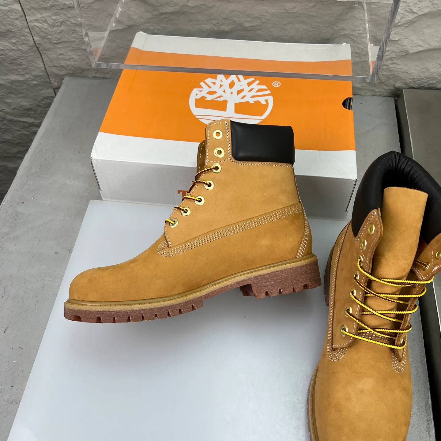 Women's Ankle Boots TIMBERLAND 18351627