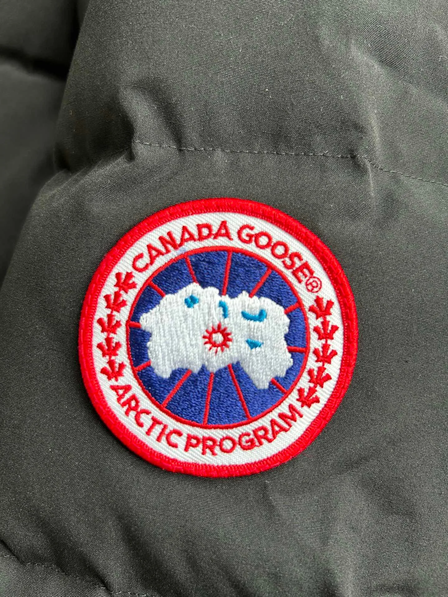 Men's Jackets And Down Jackets CANADA GOOSE 18111618