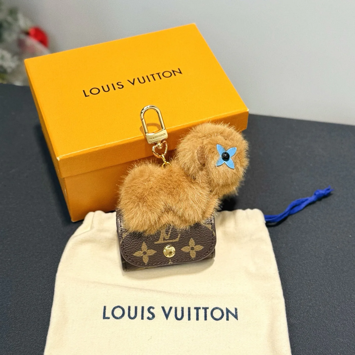 Key Cases LOUIS VUITTON 17886412