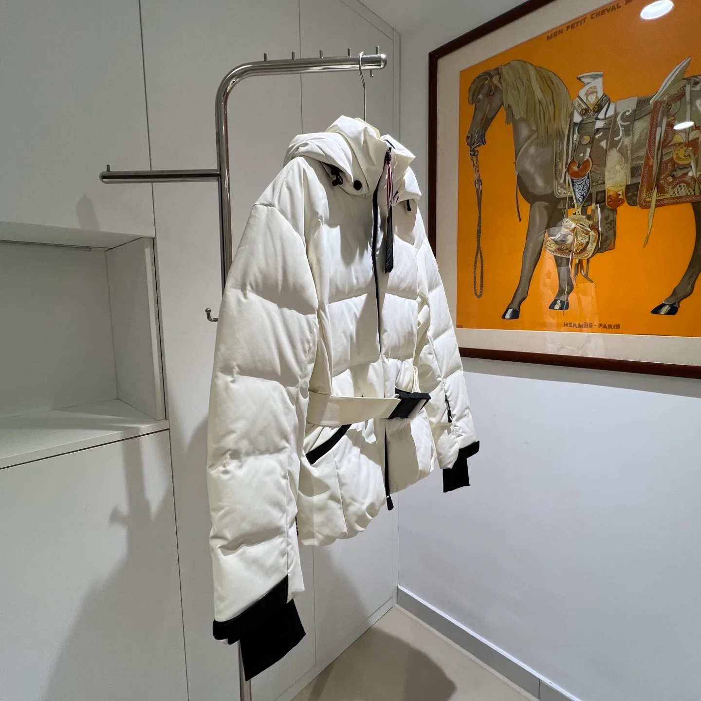 Women's Jackets And Down Jackets MONCLER 18180078