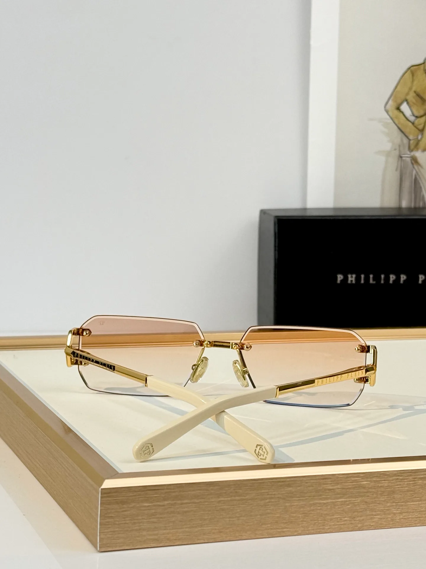 Glasses PHILIPP PLEIN 18350373