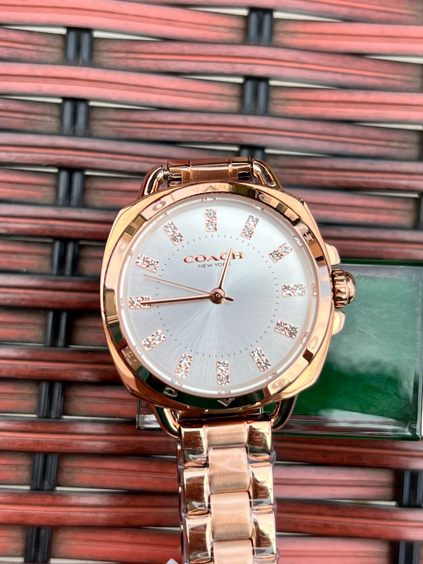 Women's Watches COACH 17873077