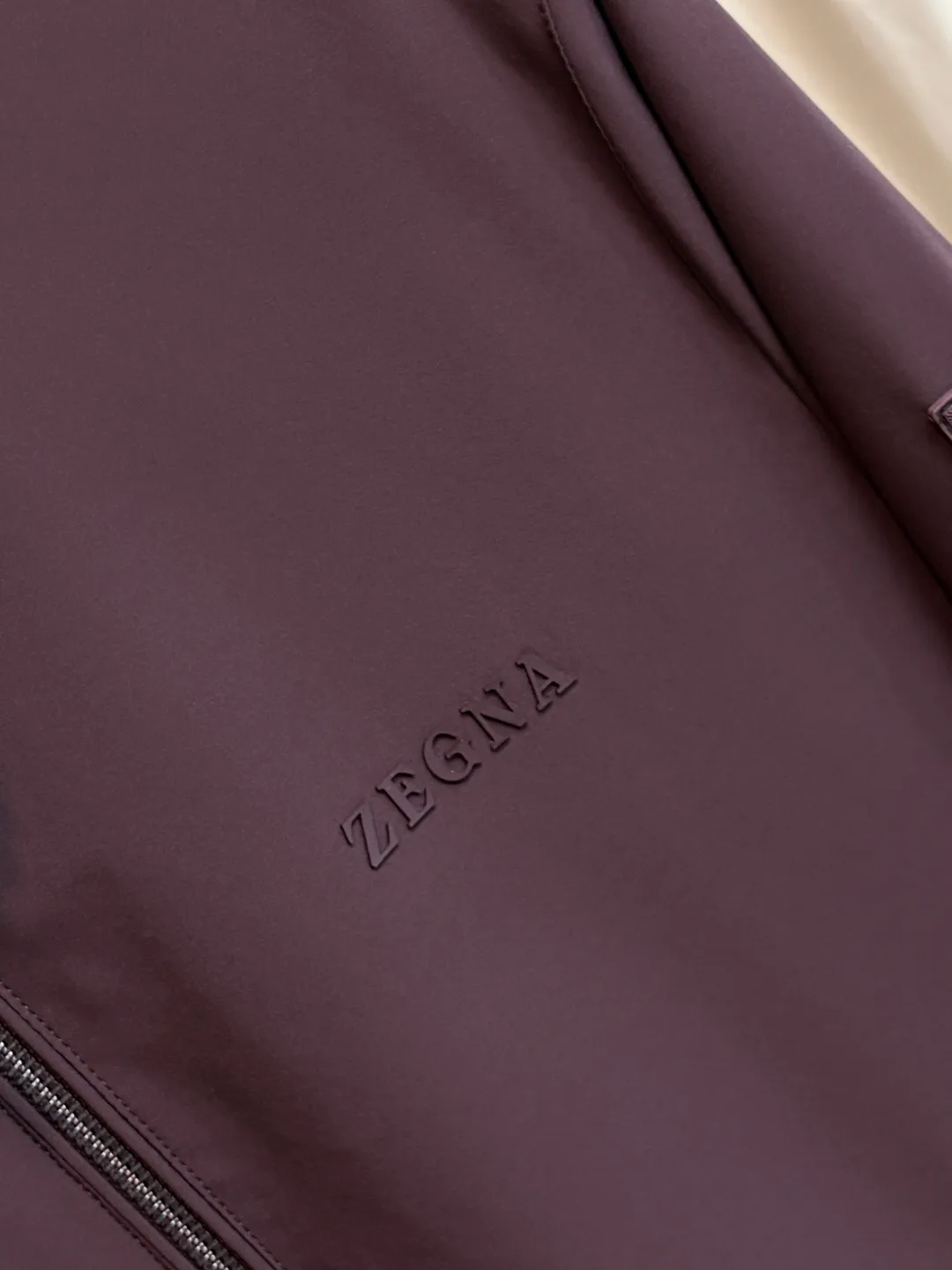 Men's Jackets And Down Jackets ZEGNA 17894404