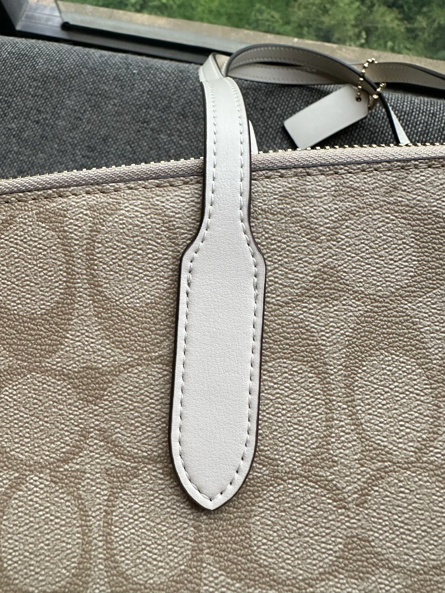 Women's Classic Handbags COACH 17961085
