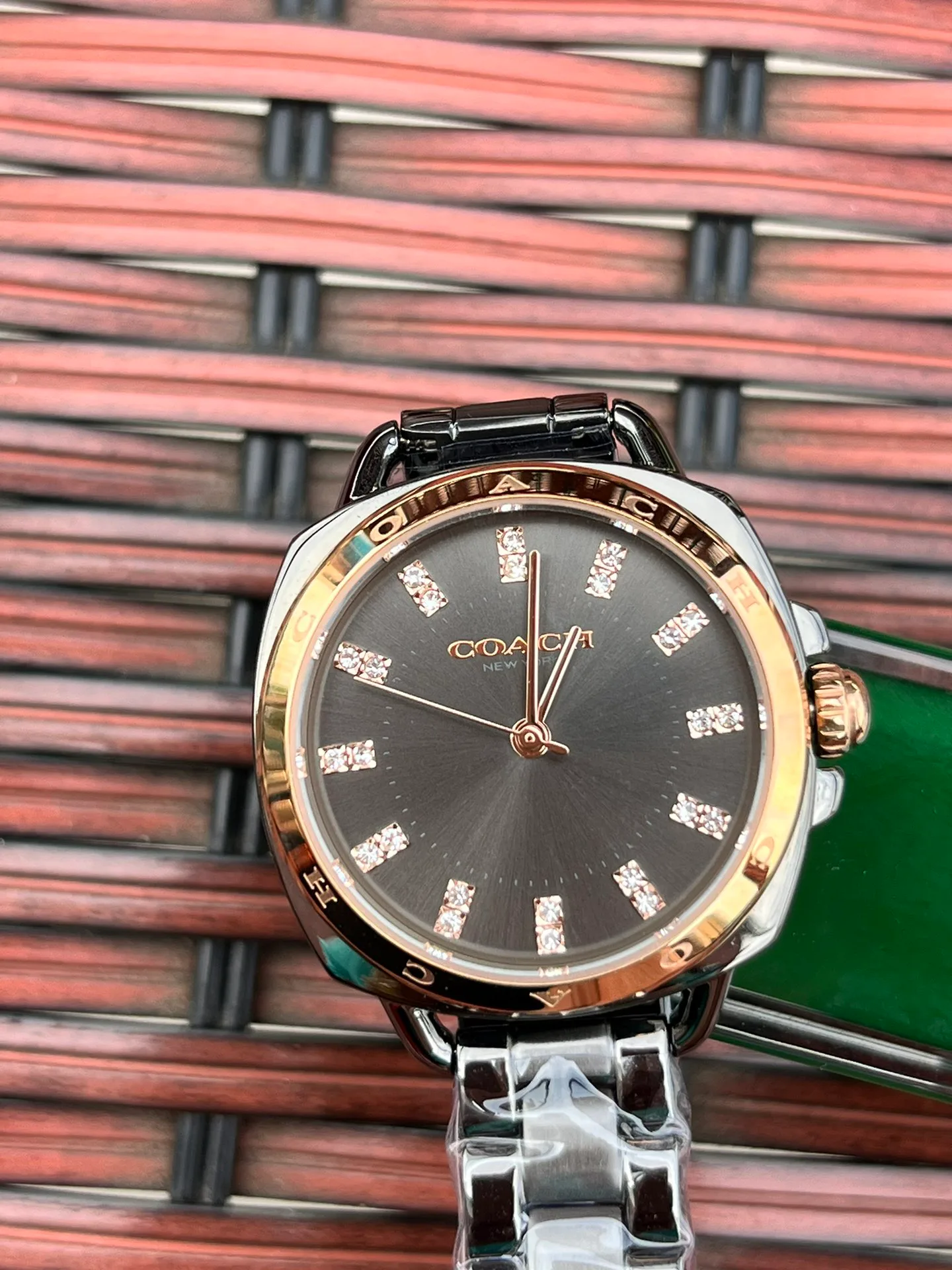 Women's Watches COACH 17873078