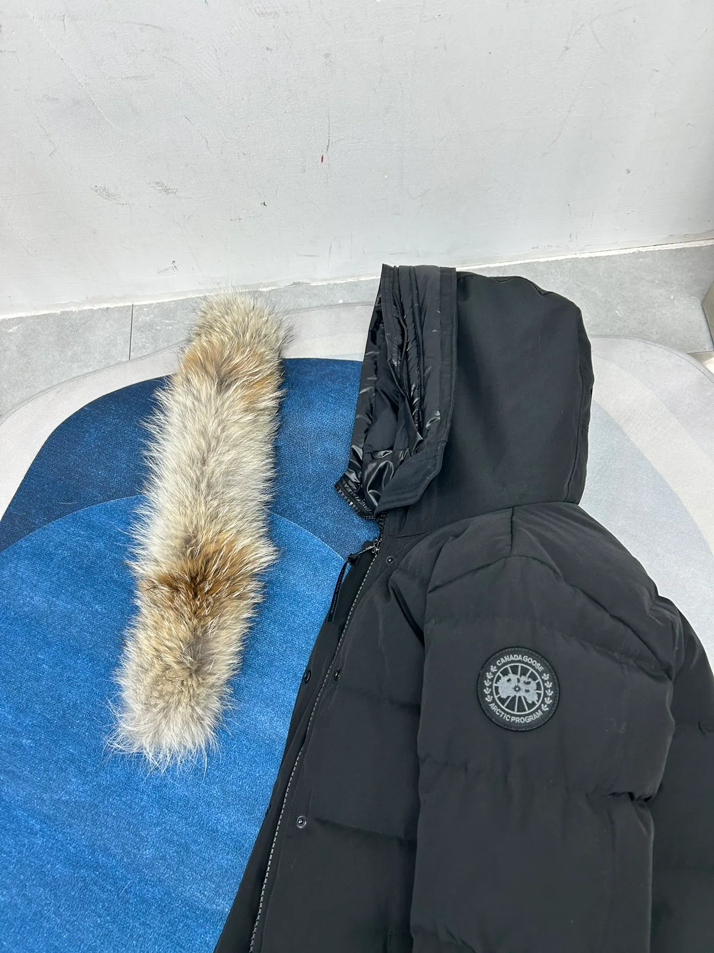Women's Jackets And Down Jackets CANADA GOOSE 18188607