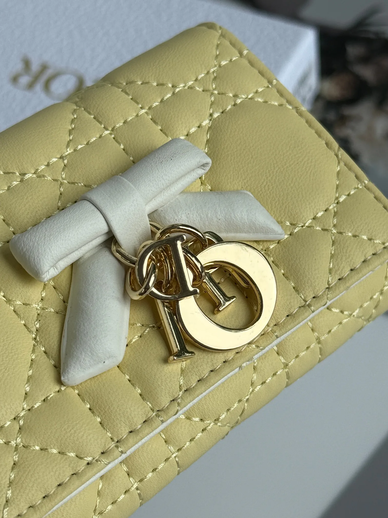 Women's Clutches CHRISTIAN DIOR 17447405
