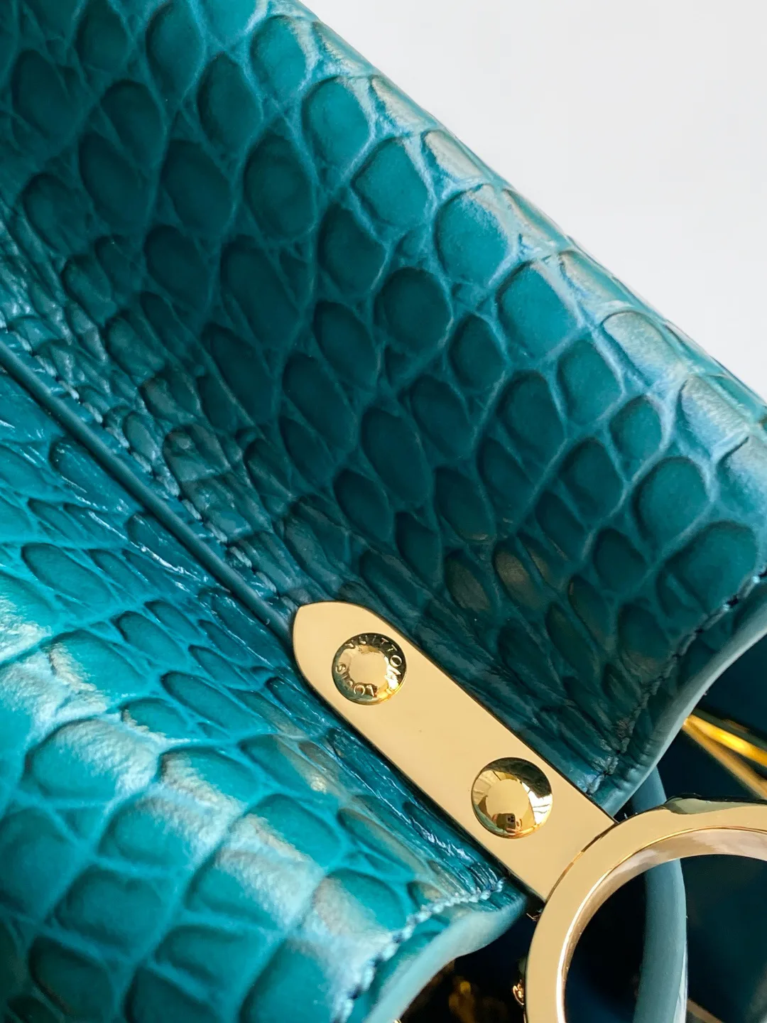 Women's Classic Handbags LOUIS VUITTON 18019348