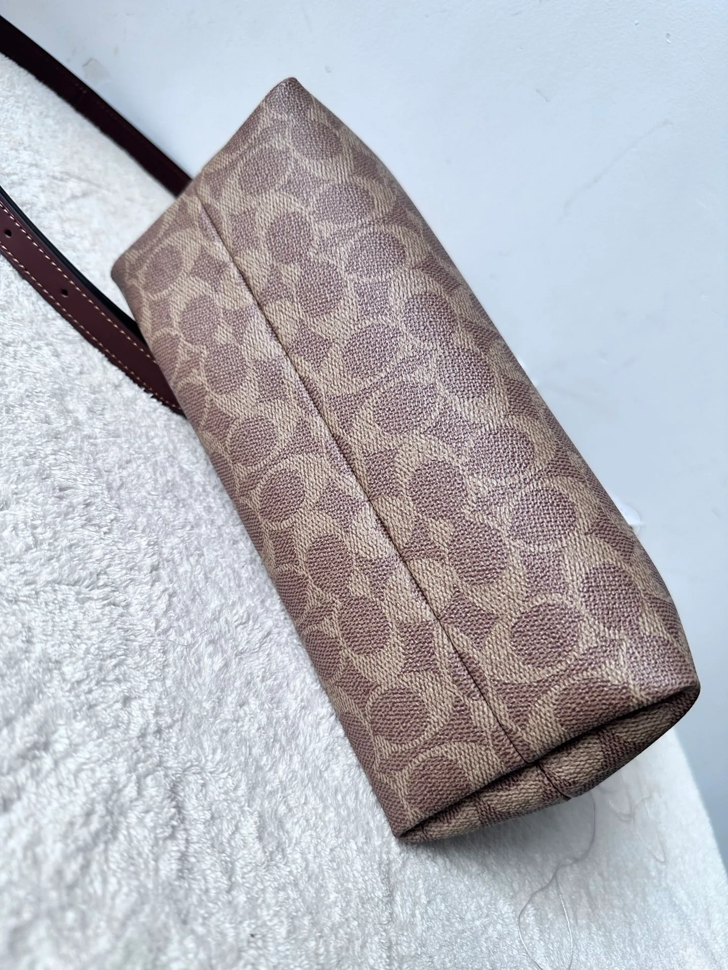 Women's Classic Handbags COACH 17960955