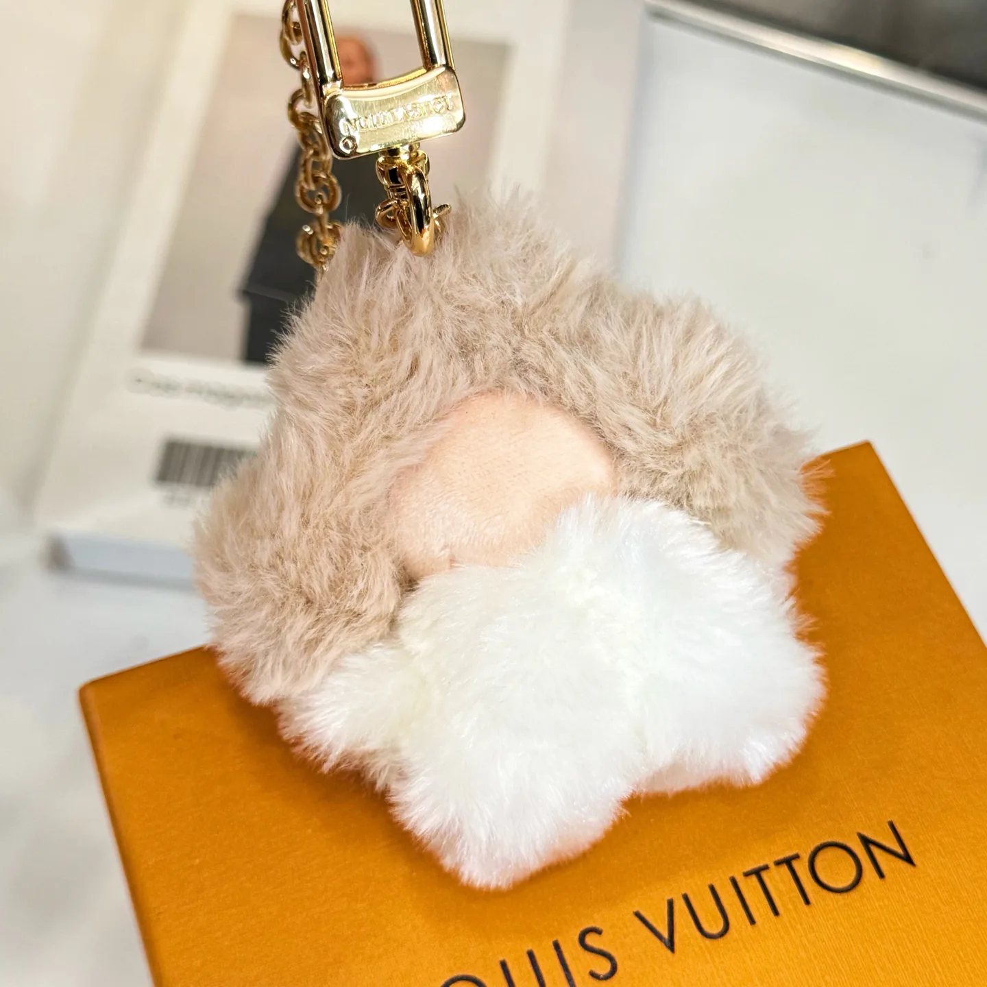 Key Cases LOUIS VUITTON 18225902