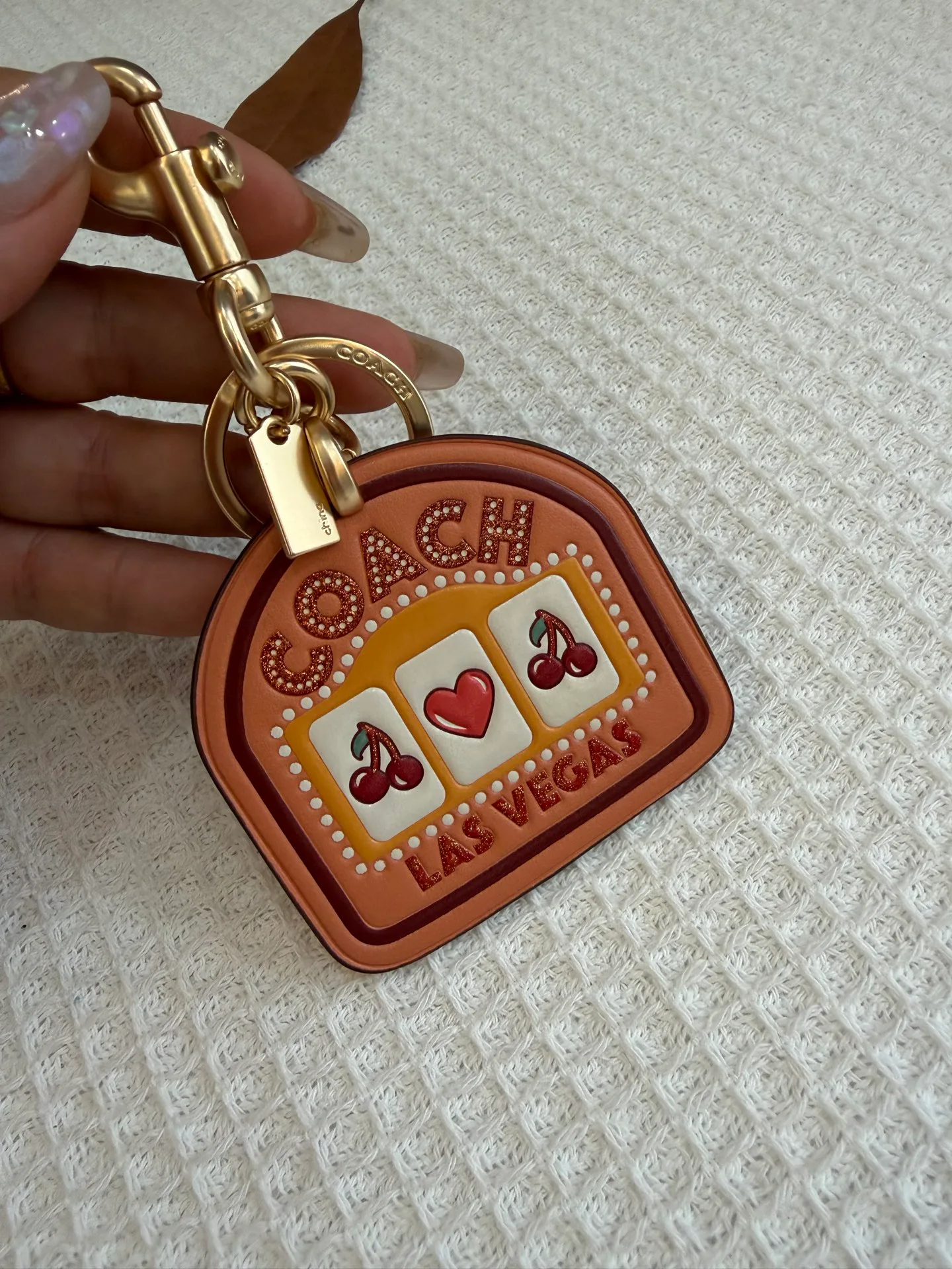 Key Cases COACH 17961101