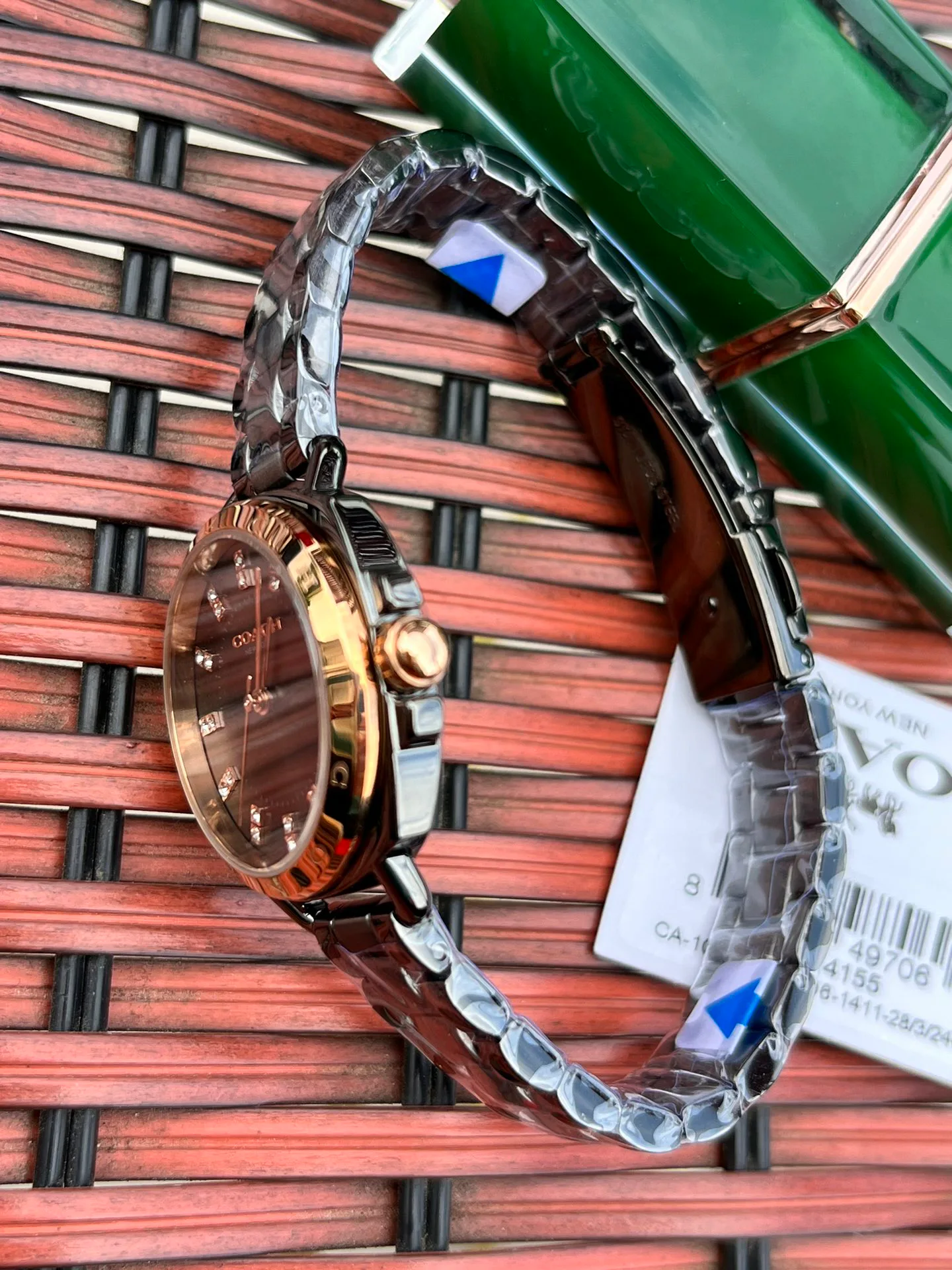 Women's Watches COACH 17873078