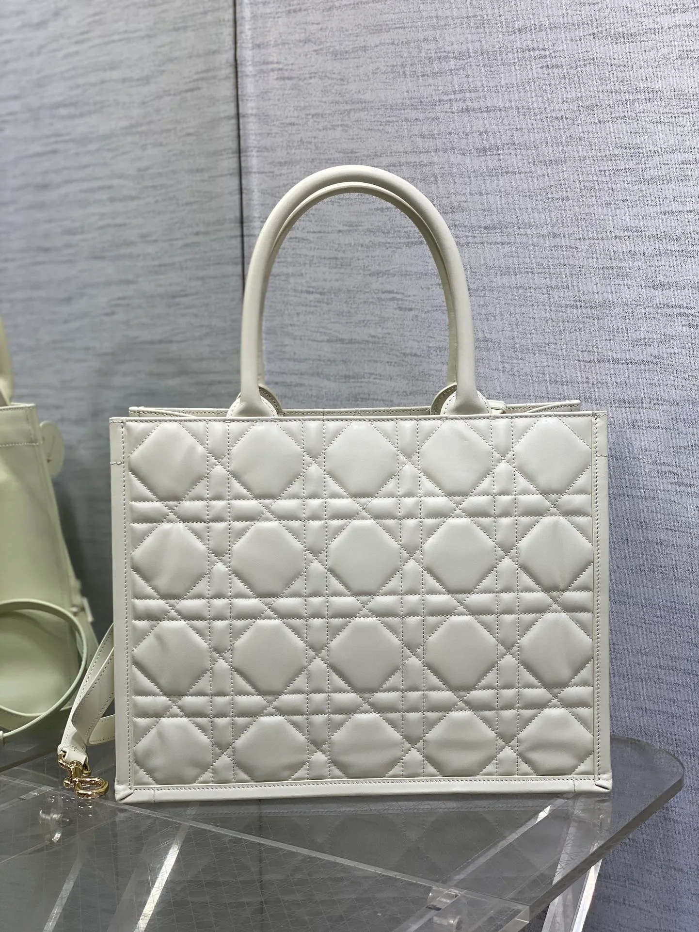 Women's Classic Handbags CHRISTIAN DIOR 17601402