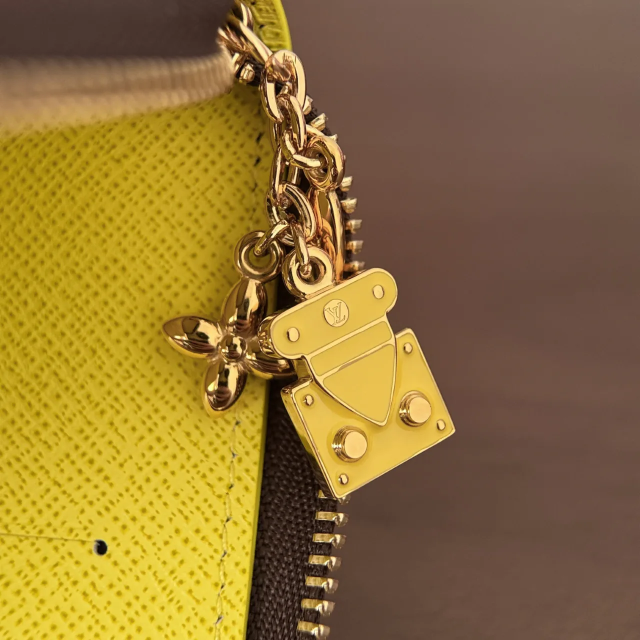 Women's Clutches LOUIS VUITTON 18315125