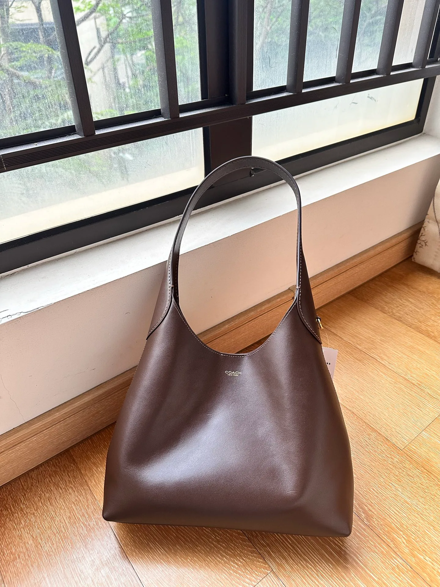 Women's Classic Handbags COACH 18365020