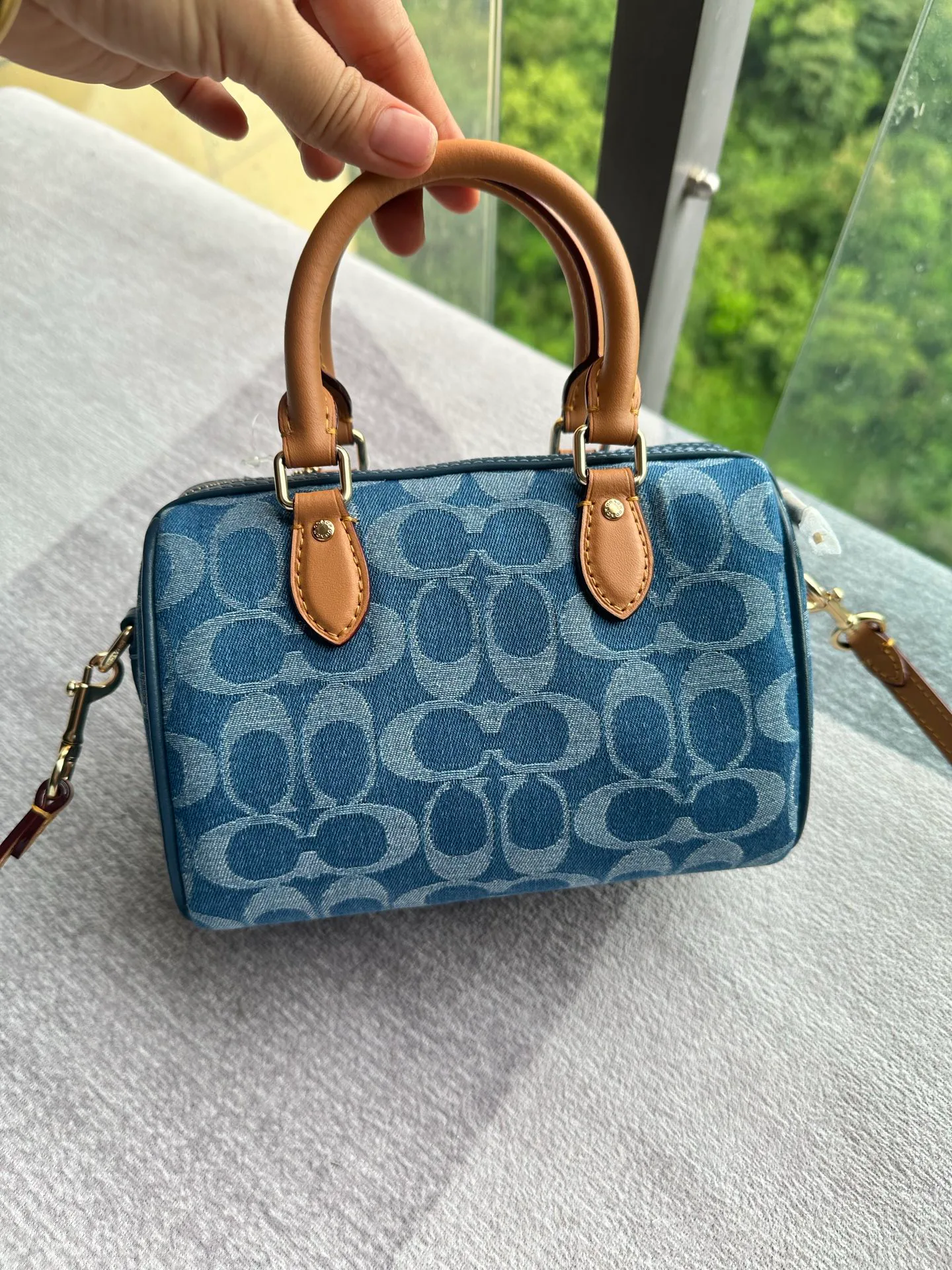 Women's Classic Handbags COACH 17961050