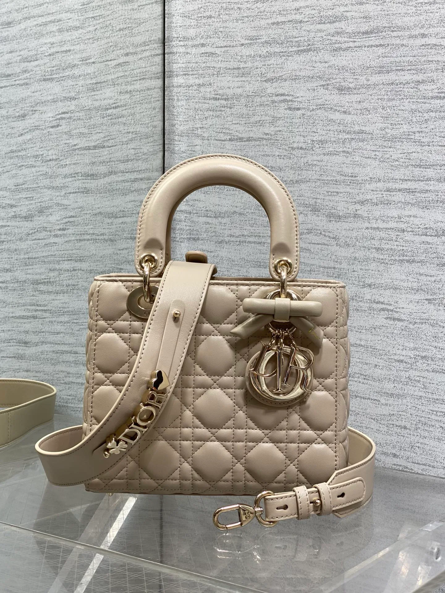 Women's Classic Handbags CHRISTIAN DIOR 17601503