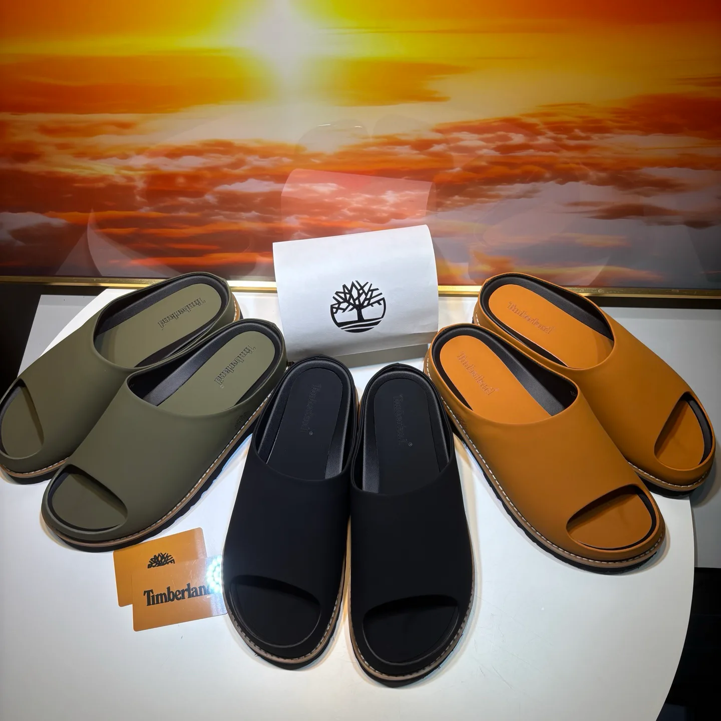 Men's Flip-Flops TIMBERLAND 17955630