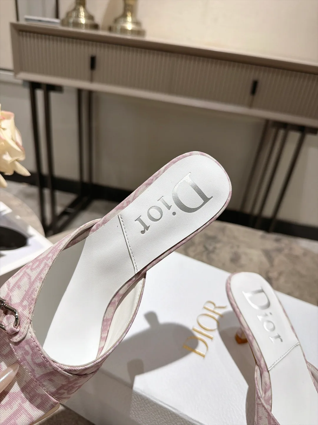 Women's Mules And Clogs CHRISTIAN DIOR 18152369