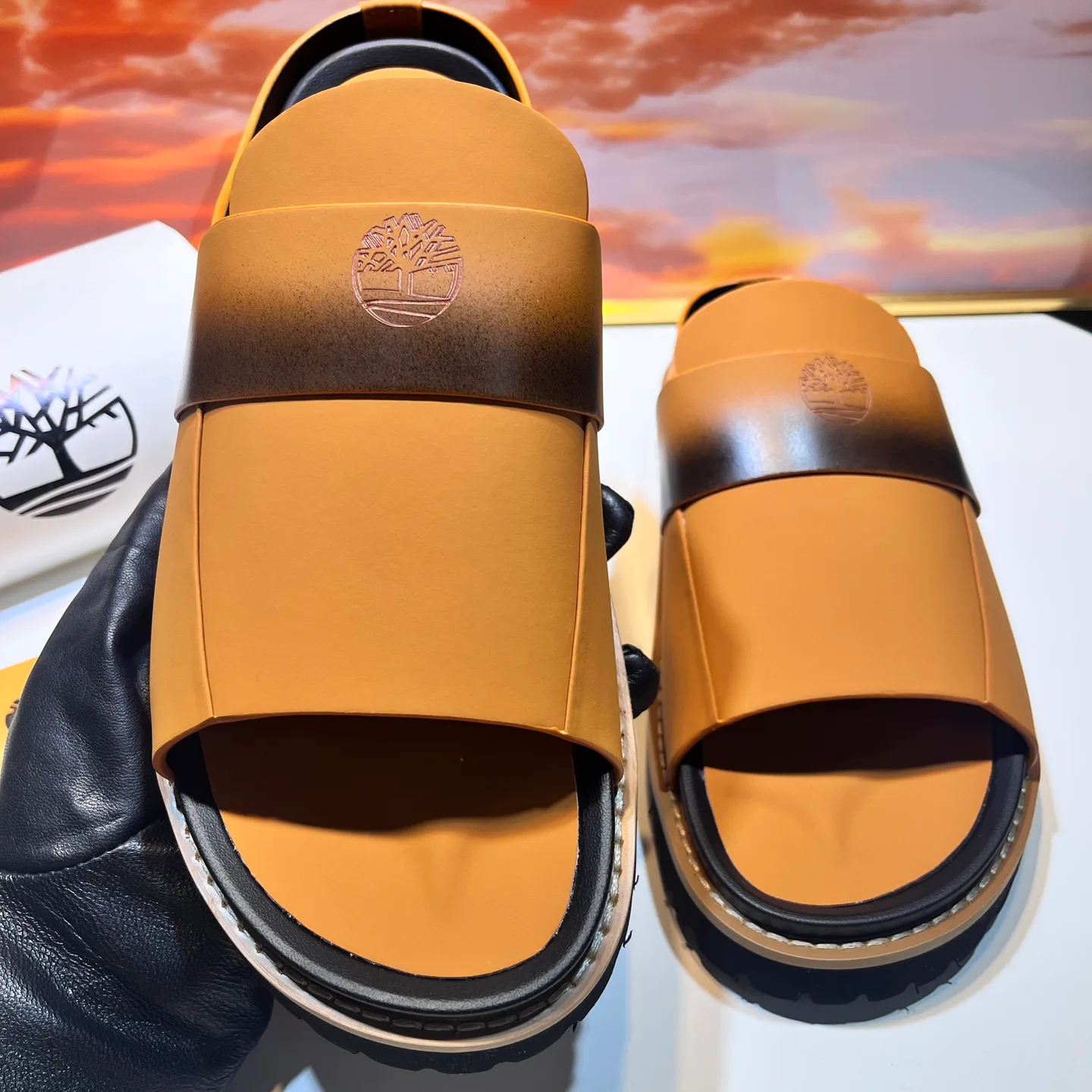 Men's Flip-Flops TIMBERLAND 17955633