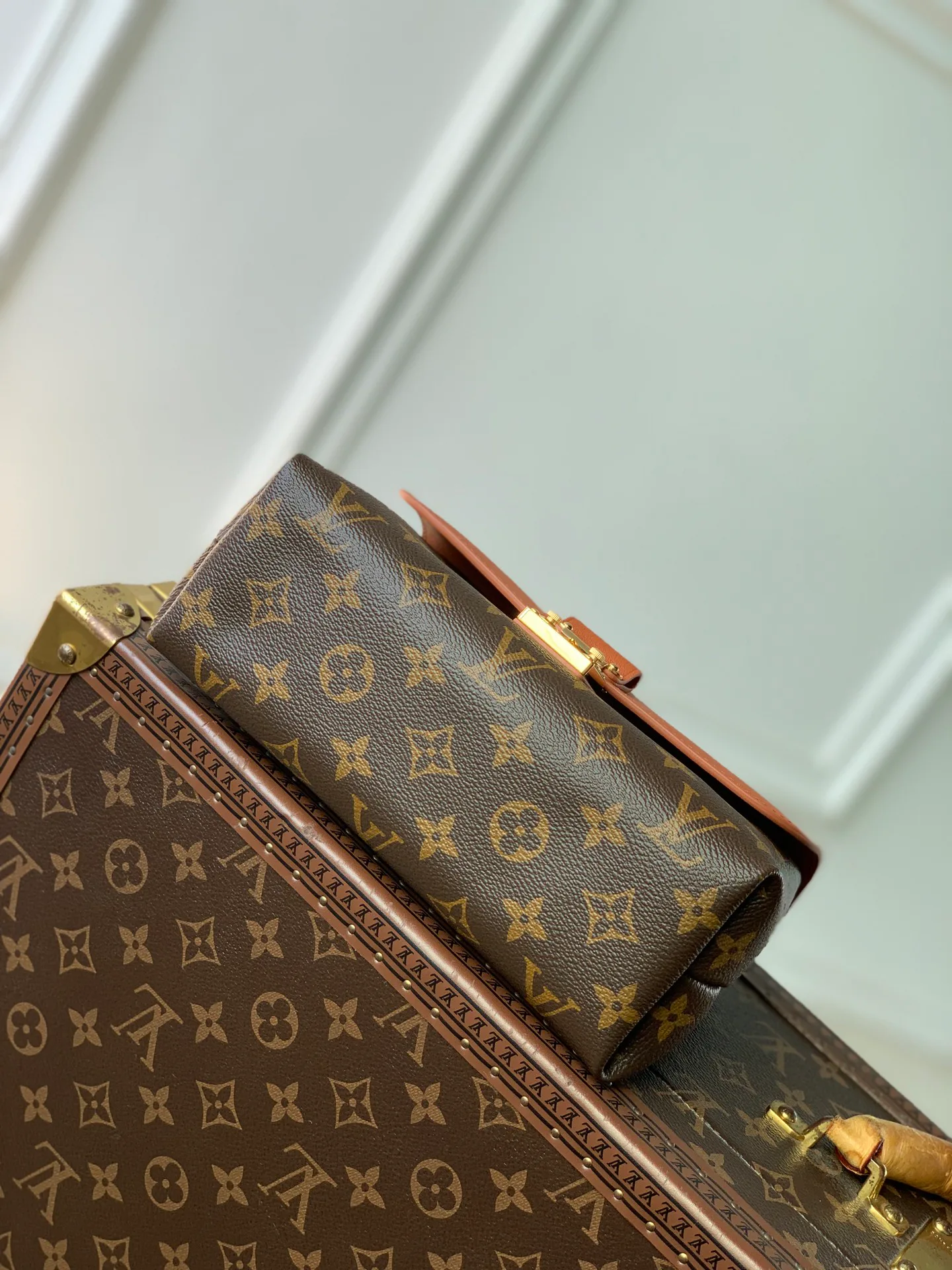 Women's Classic Handbags LOUIS VUITTON 18412598