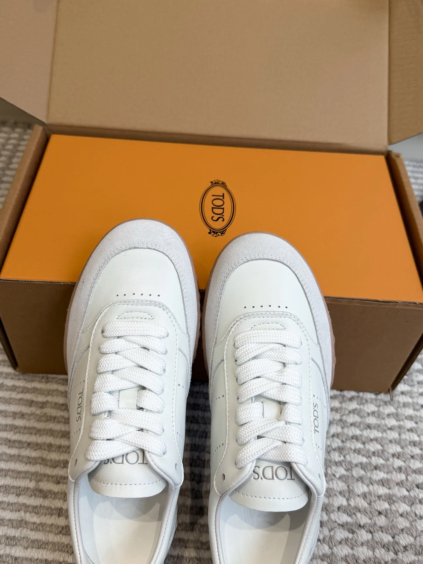 Women's Sneakers TOD'S 18360488