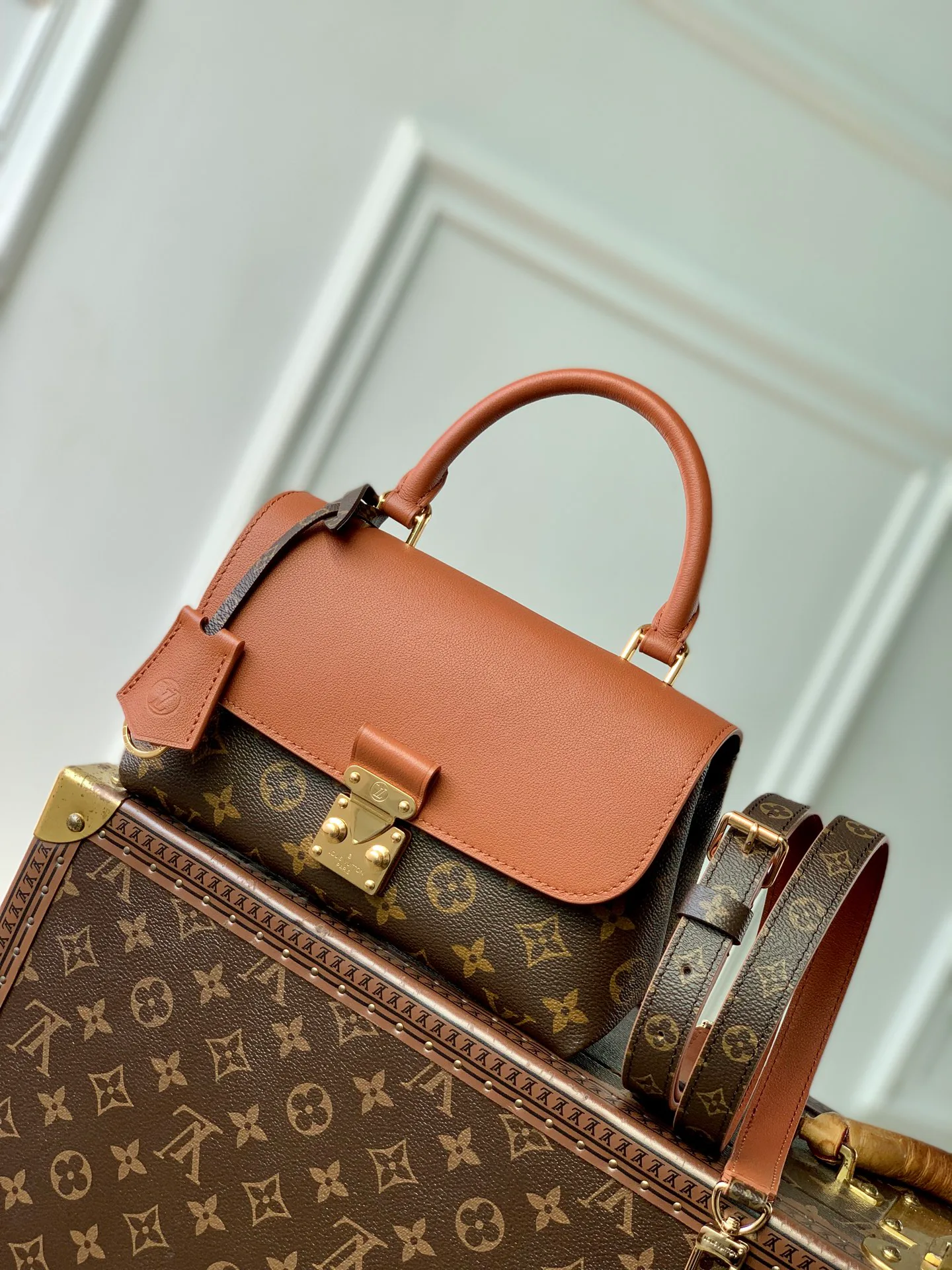 Women's Classic Handbags LOUIS VUITTON 18412598