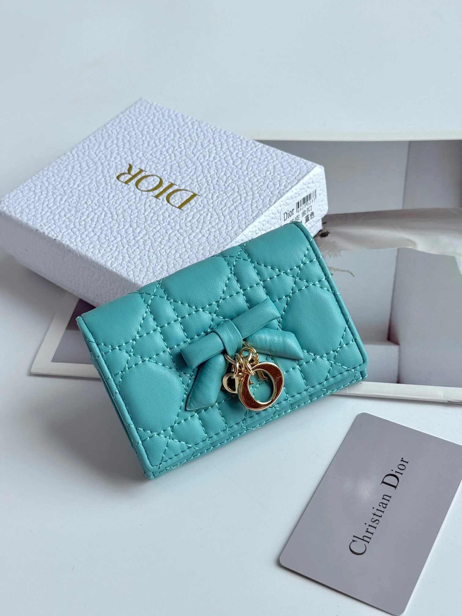 Women's Clutches CHRISTIAN DIOR 17447407