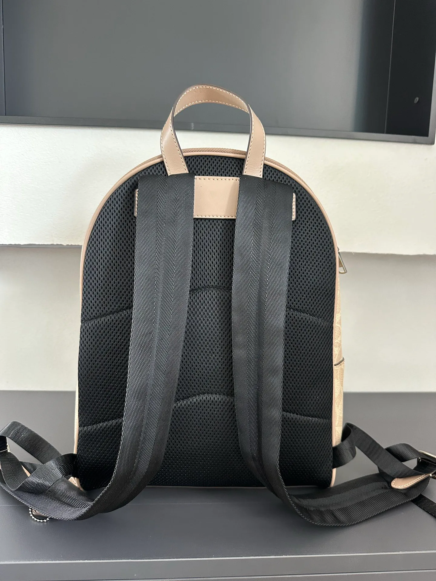 Women's Backpacks COACH 17961616