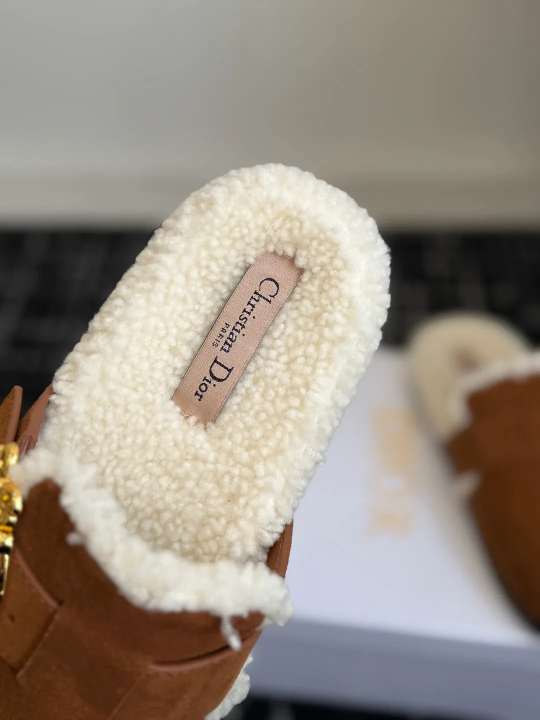 Women's Mules And Clogs CHRISTIAN DIOR 18497983