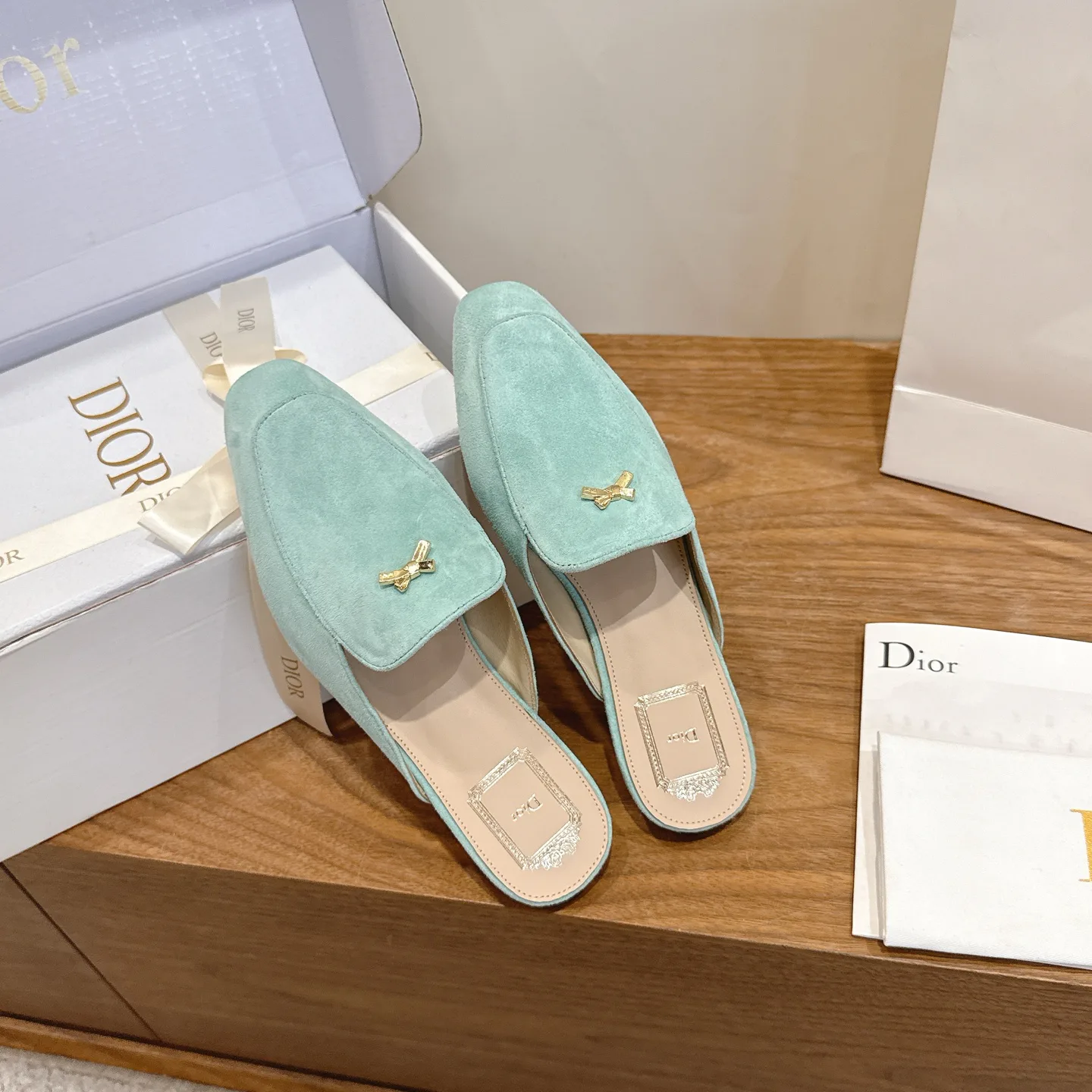 Women's Mules And Clogs CHRISTIAN DIOR 17947100