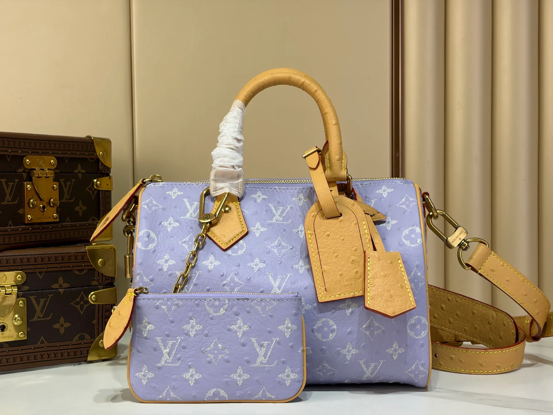 Women's Classic Handbags LOUIS VUITTON 19582520