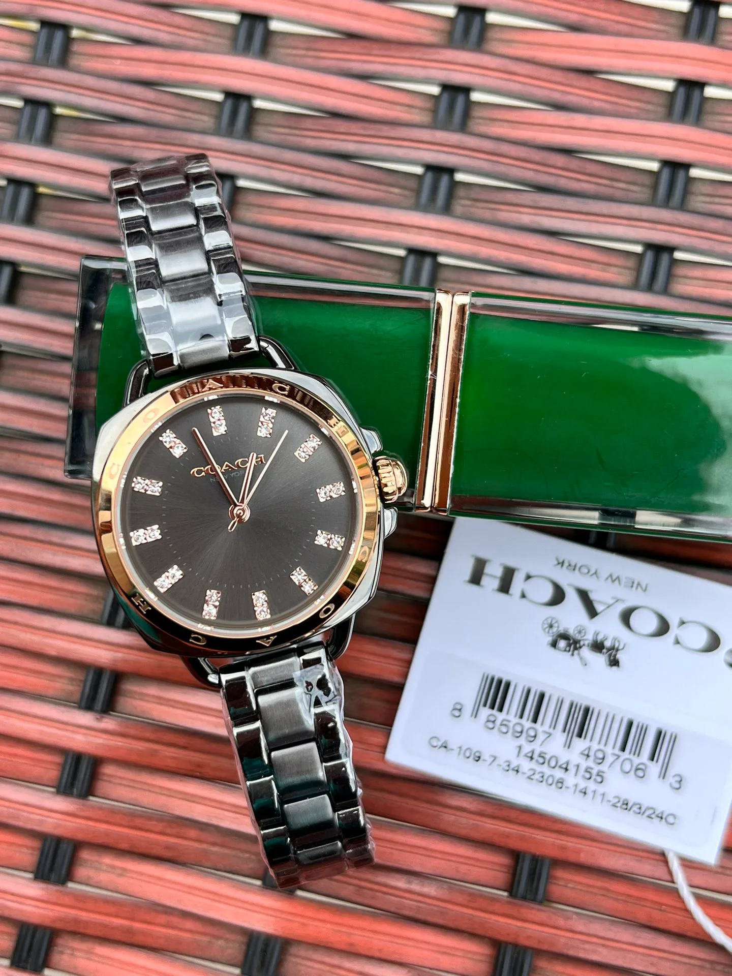 Women's Watches COACH 17873078