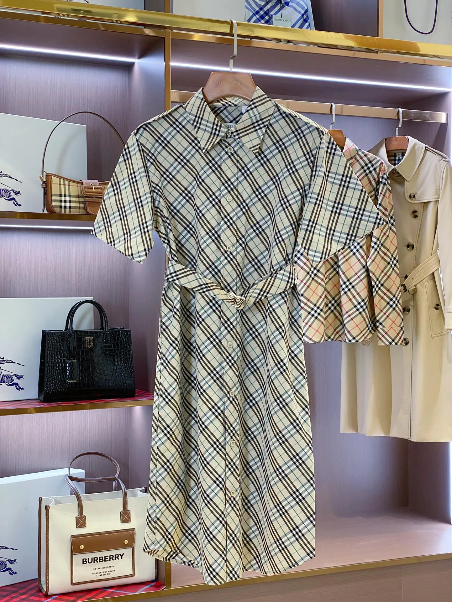 Women's Dresses BURBERRY 17361084