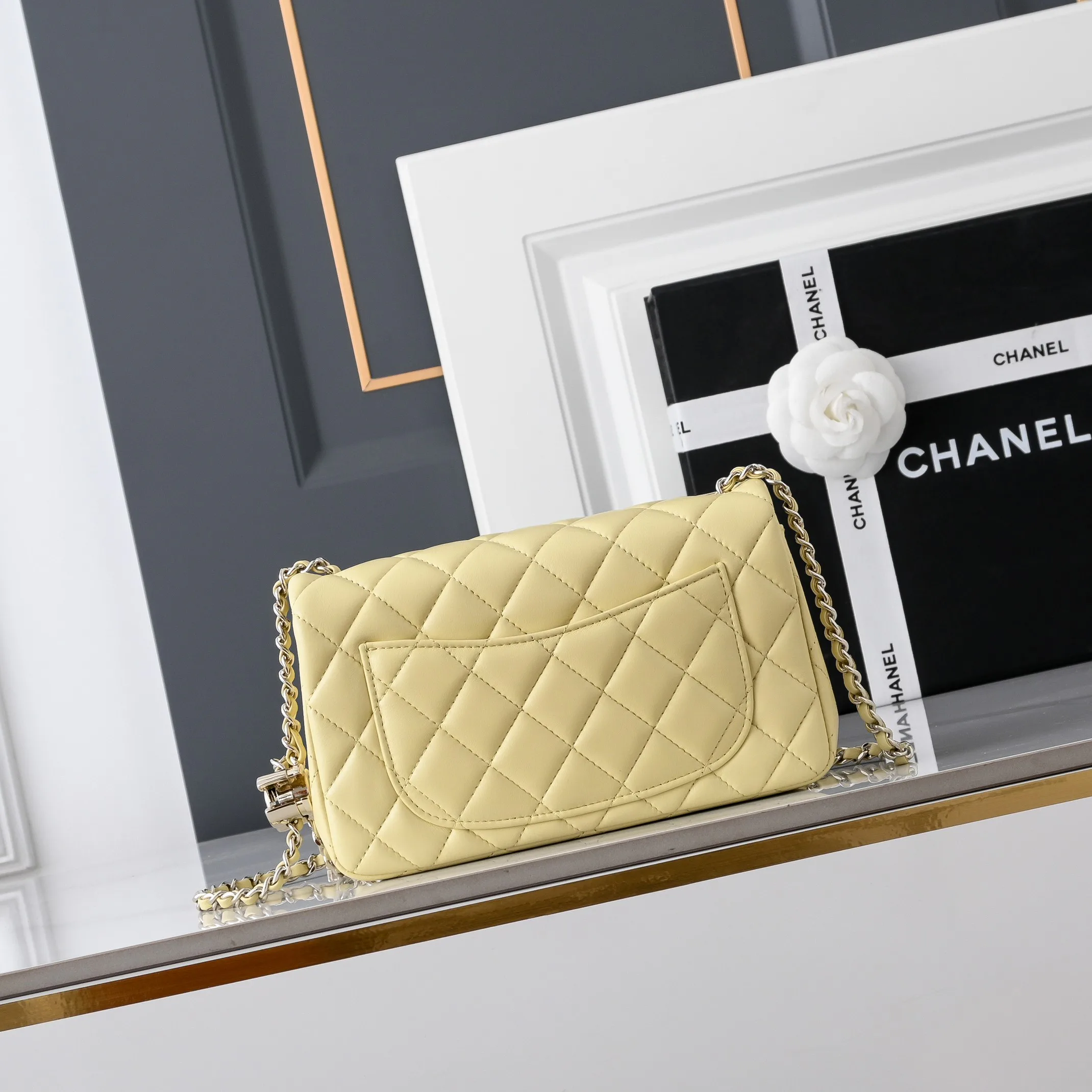 Women's Classic Handbags CHANEL 18148077