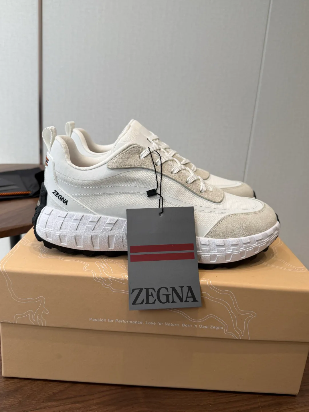 Кроссовки Мужские Zegna 18687658