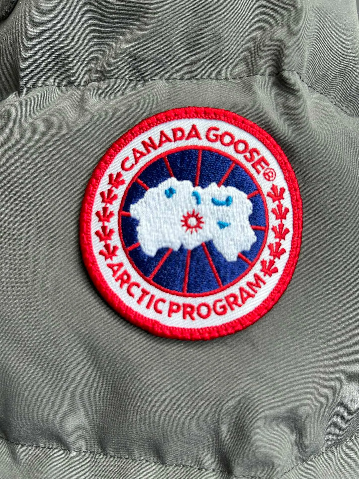 Men's Jackets And Down Jackets CANADA GOOSE 18111617