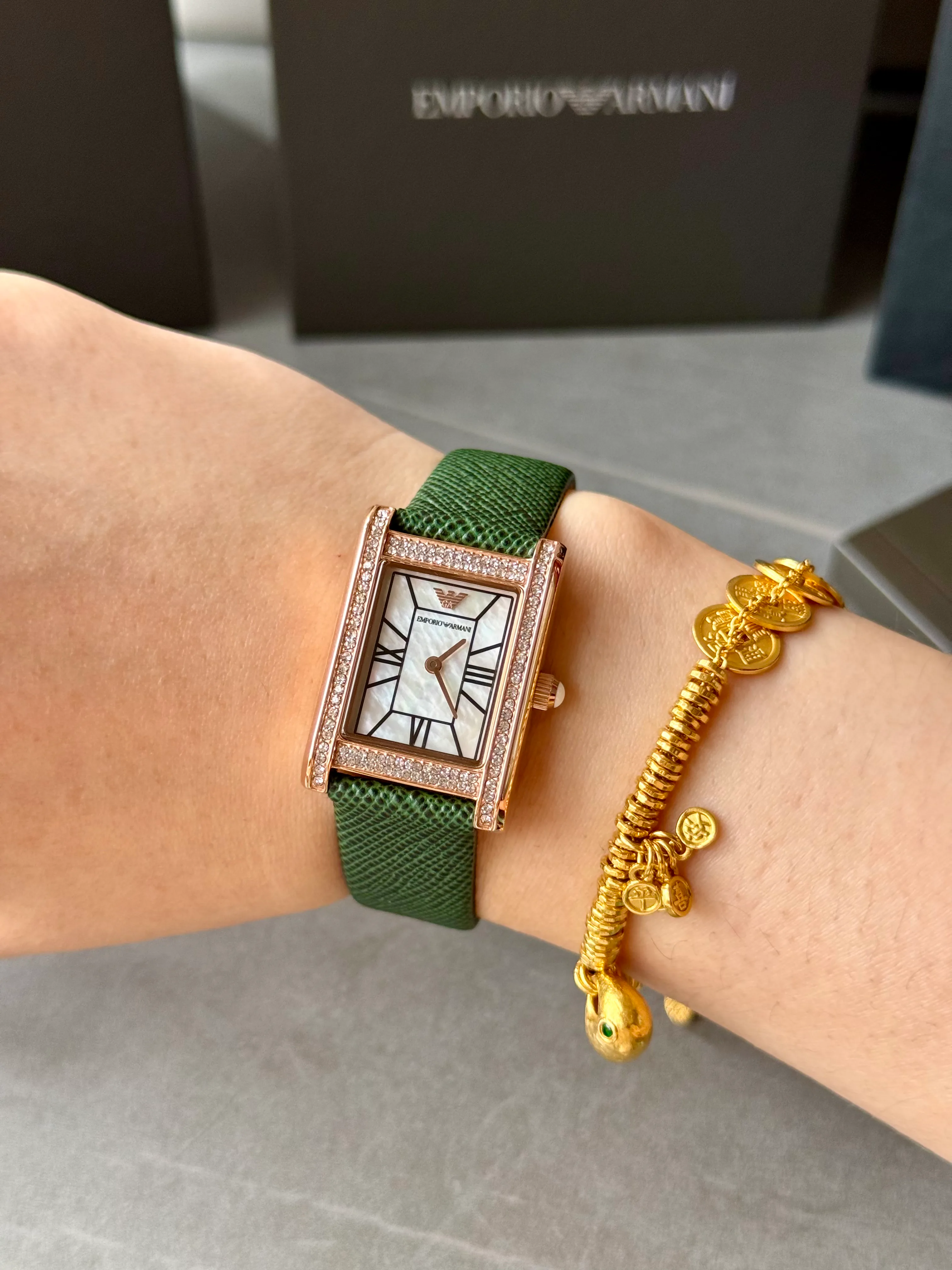 Women's Watches ARMANI 17087686