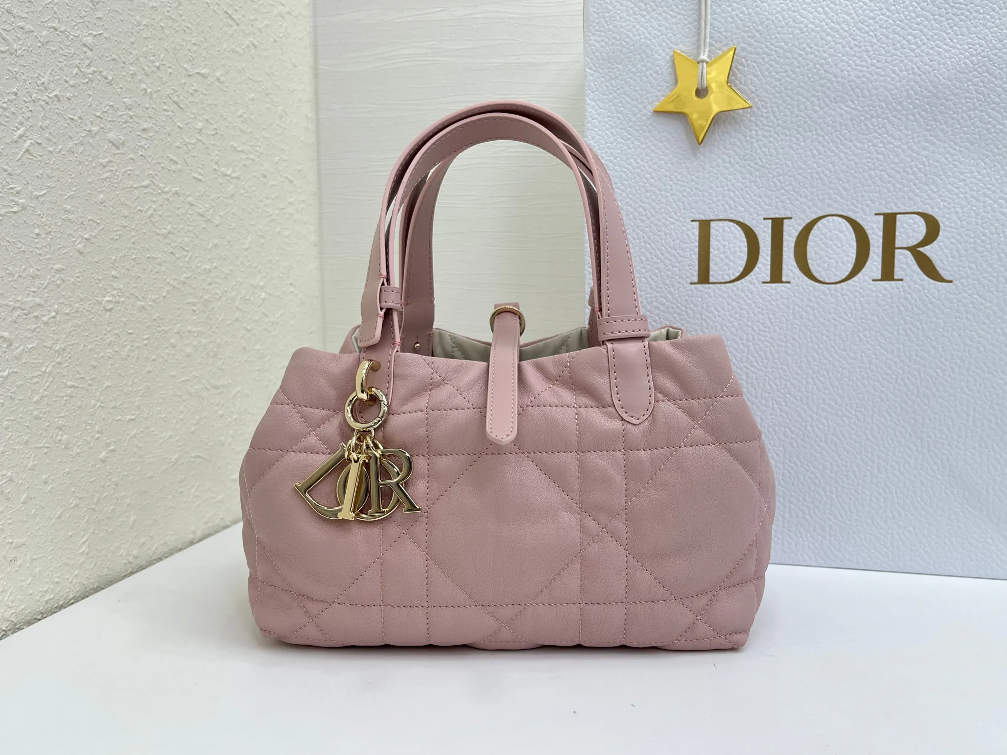 Women's Classic Handbags CHRISTIAN DIOR 17407079