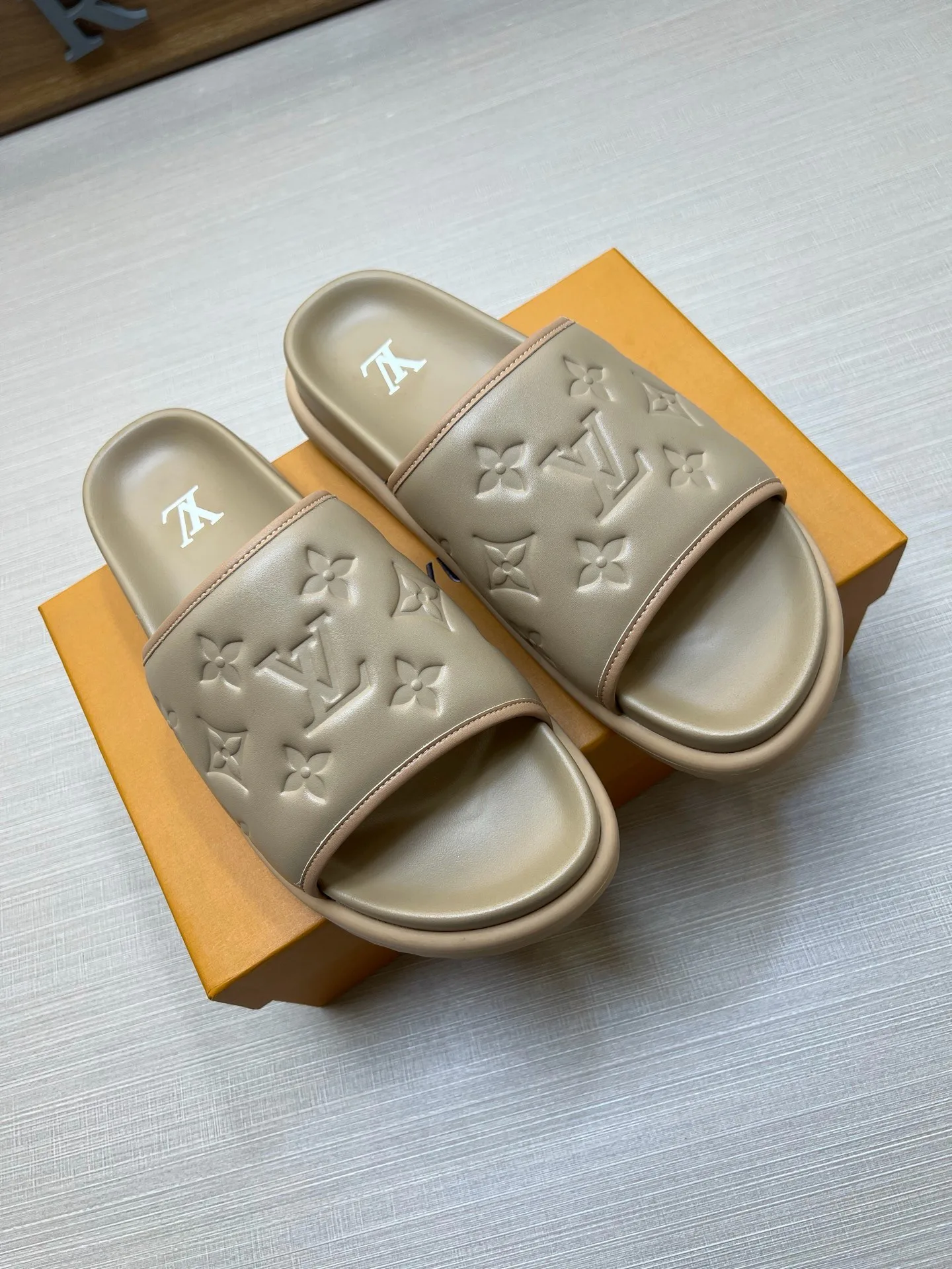 Women's Flip-Flops LOUIS VUITTON 18011806