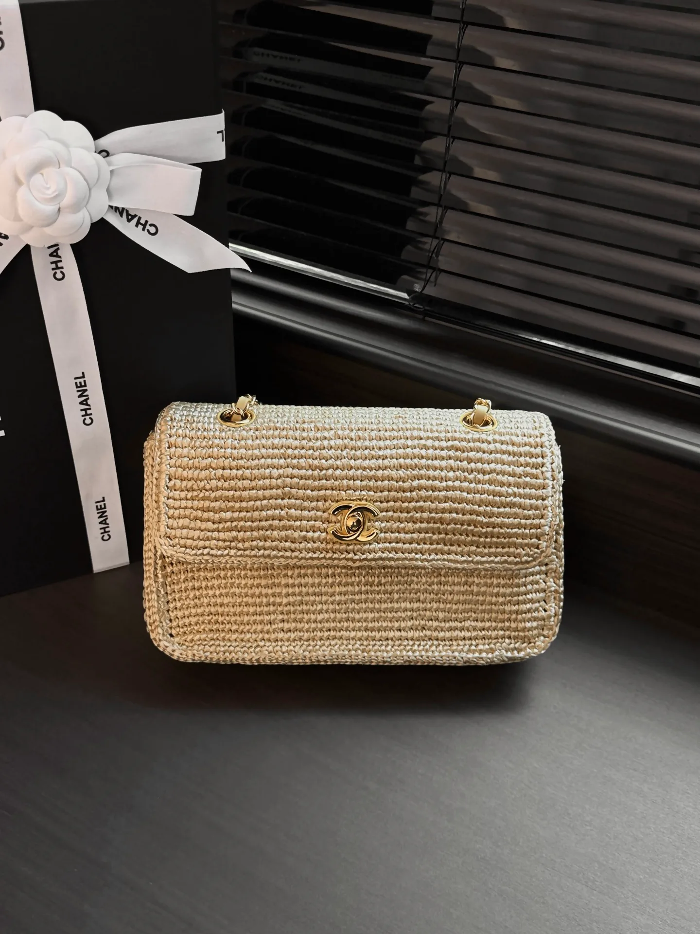 Women's Classic Handbags CHANEL 18148023