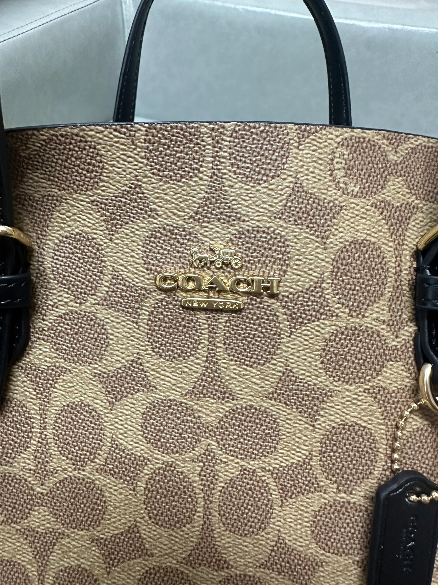 Women's Classic Handbags COACH 17961066