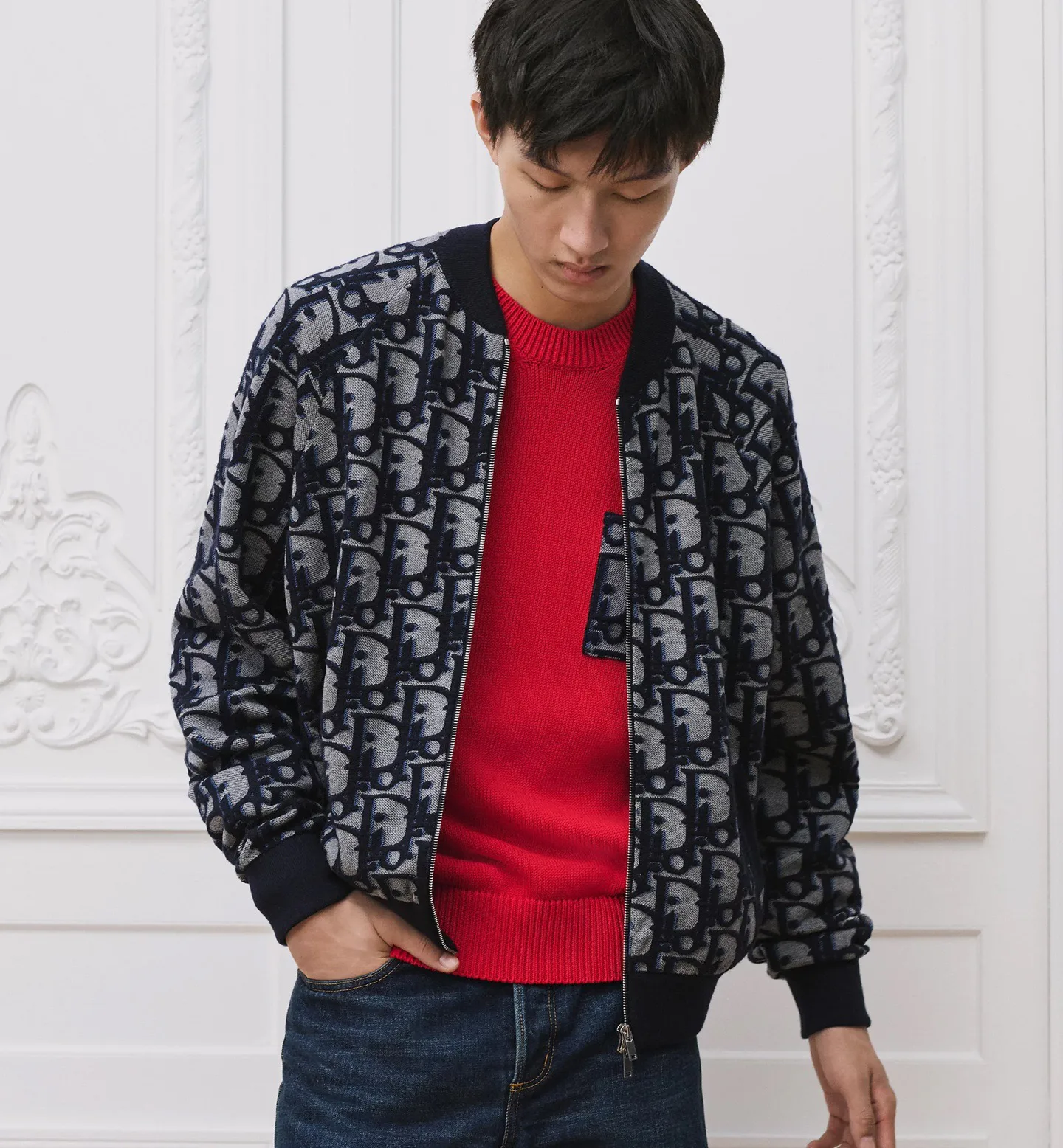 Men's Jackets And Down Jackets CHRISTIAN DIOR 18420212