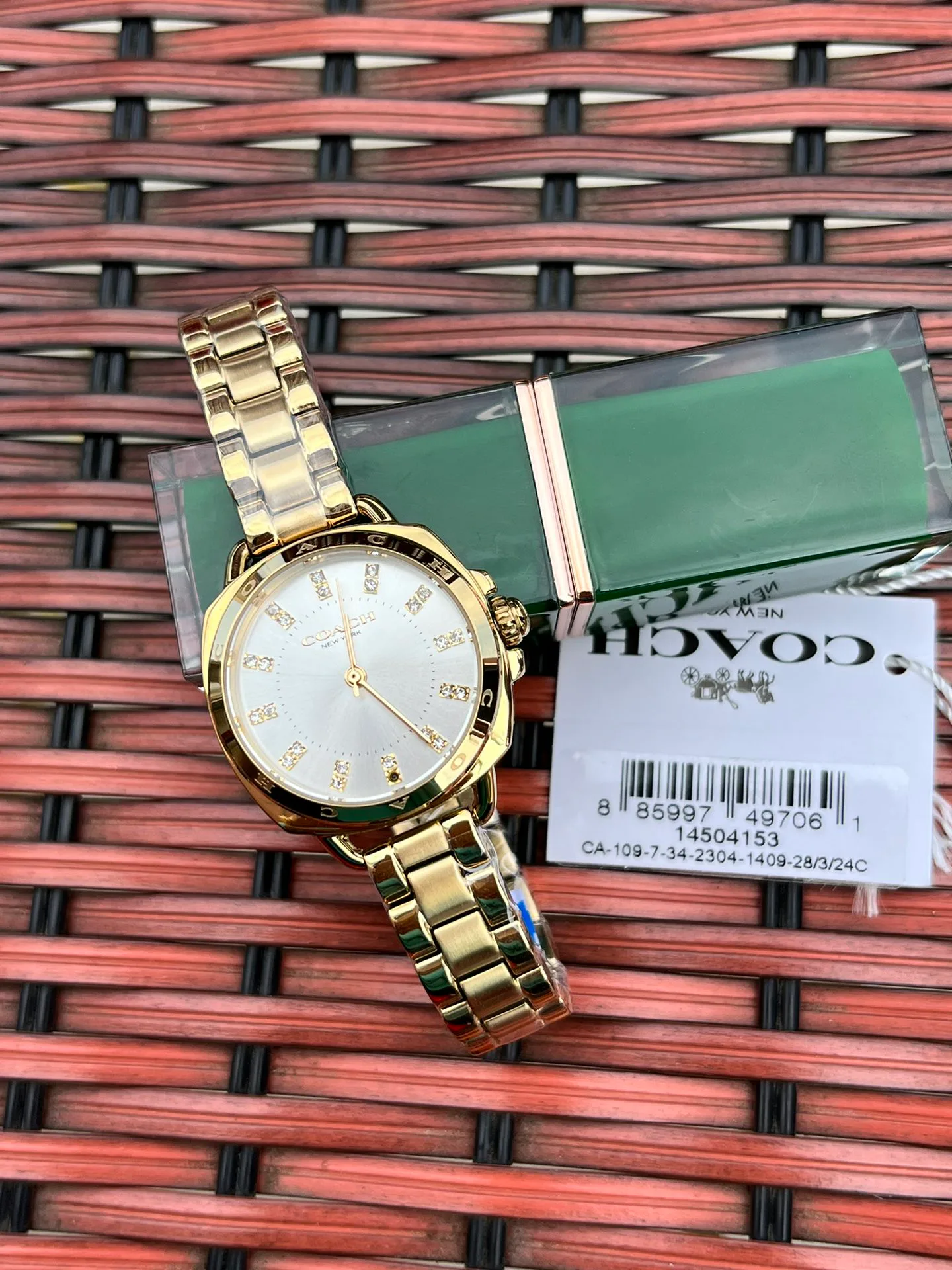 Women's Watches COACH 17873076