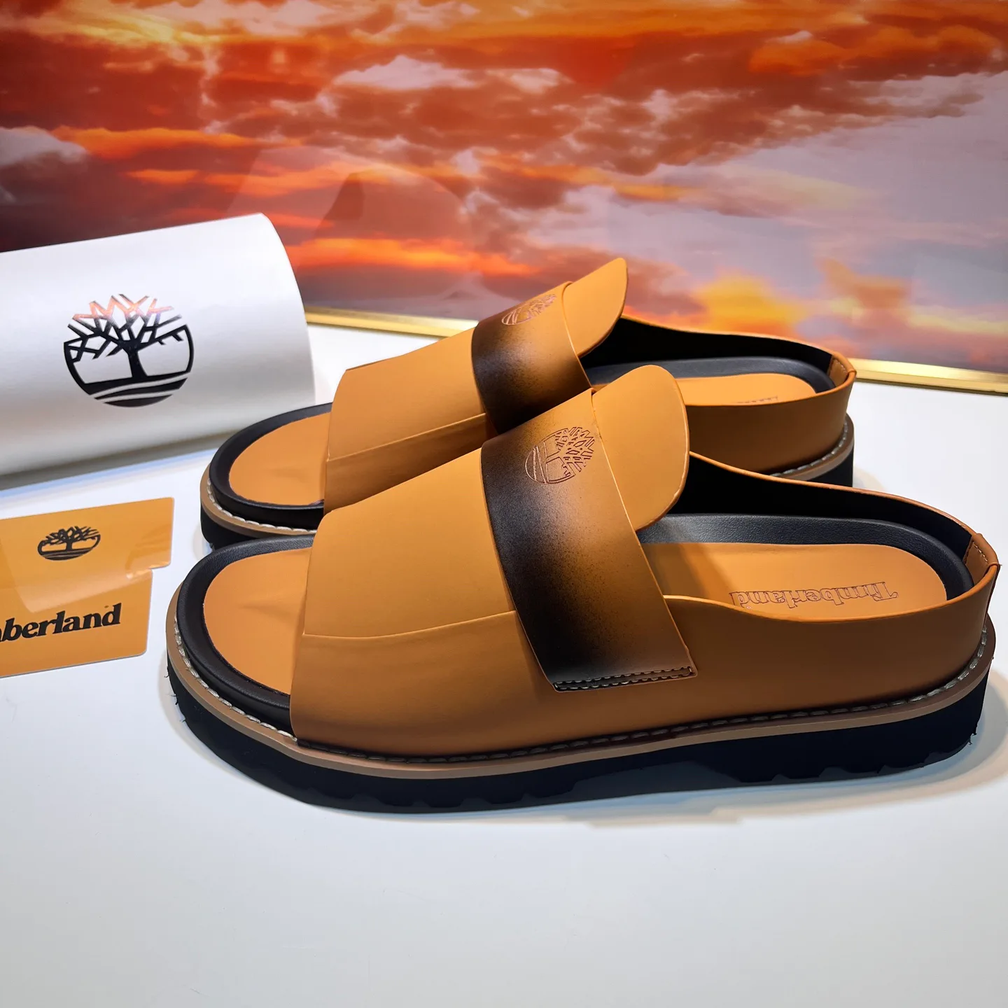Men's Flip-Flops TIMBERLAND 17955633